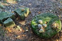 Private tour: Treblinka camp and Polish countryside from Warsaw