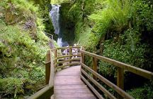 Experience the Antrim Coast and the Land of Giants - Private Tour