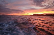 Los Cabos Private Yacht Tour, Water Activities, Lunch and Drinks