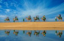 Camel Ride On The Beach at Los Cabos