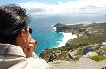 Private Cape of Good Hope and Penguins Tour with Luxury Mercedes or BMW Vehicle
