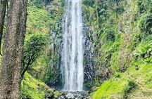 Materuni Waterfalls and Coffee Tour in Moshi