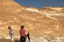 Private Tour in Bahariya Oasis and Black and White Desert