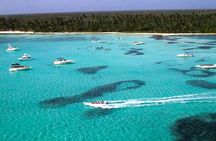 6 + 1 Full Day Isla Saona Tour and Snorkel in Natural Pool Mangroves punta cana
