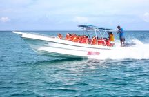 6 + 1 Full Day Isla Saona Tour and Snorkel in Natural Pool Mangroves punta cana
