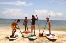 Stand-Up Paddle boarding in Tulum with Snorkeling 1hr