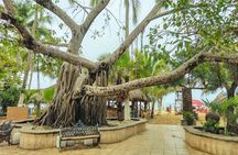 Private Tour, Sayulita & San Pancho