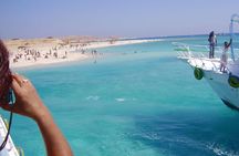 Snorkeling by Boat to Ras Mohamed and White island excursion in Sharm