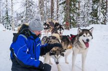Small-Group Husky Mushing Experience in Rovaniemi
