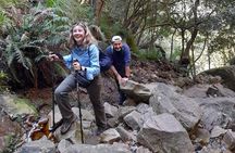 Table Mountain Hike (All routes) - Private Tour
