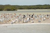 Ek Balam + Private Rio Lagartos Flamingo and Pink Lakes