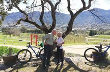 Franschhoek Sip & Cycle Experience Full Day - Private Tour