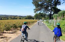 Constantia Hidden Gem Cycle Half Day - Private Tour