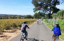 Constantia Hidden Gem Cycle Full Day - Private Tour