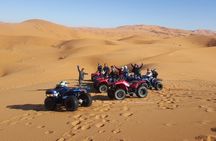 Merzouga one hour Quad bike Adventure Tour