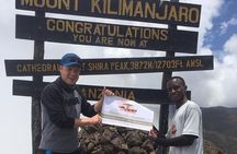 Kilimanjaro Day Hike - Shira Route