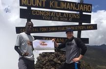 Kilimanjaro Day Hike - Shira Route
