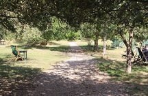 Private Guided Grantchester 2-Hour Tour of TV Locations