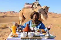 Private Desert Tour To Draa Valley And Zagora From Marrakech