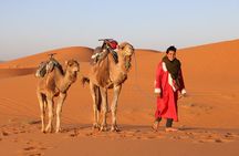 Private Desert Tour To Draa Valley And Zagora From Marrakech