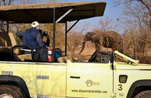 Game Drive in the Zambezi National Park - Victoria Falls