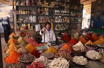 Half Day Guided City Tour Of Marrakech With A Professional Guide
