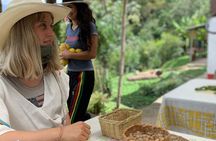 Be a farmer for one day (Coffee farm experience)