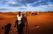 Shared Group Desert Tour Fes To Marrakech Via Merzouga 3 Days
