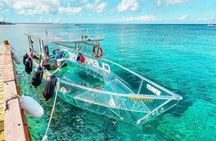 Cozumel Buggy Island Tour, Otoch Mayan Experience & Clear Boat