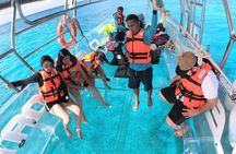 Cozumel Buggy Island Tour, Otoch Mayan Experience & Clear Boat