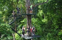 Manuel Antonio Canopy Tour - Longest Twin Zip Line in Central America