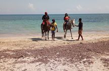 Private & Customize Tour to Martha Brae Rafting and Horseback Riding N Swim 