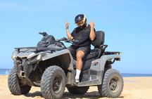 Los Cabos Beach & Desert Tour in Automatic Atv + Tequila Tasting