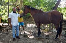 Private & Customize Tour to Martha Brae Rafting and Horseback Riding N Swim 