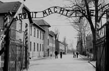 Auschwitz-Birkenau Guided Shared Tour from Krakow