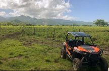 Rastasafari ATV Experience 