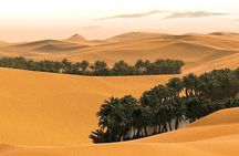 Full-Day Private Wahiba Sands Desert and Wadi Bani Khalid Tour