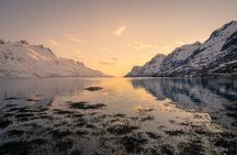 Discover the Fjords of Kvaloya - a roadtrip along fjords and fishing villages