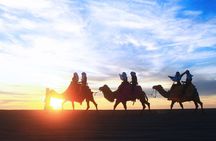 Sunset Camel Ride and ATV Combo Adventure in Los Cabos