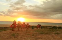 Sunset Camel Ride and ATV Combo Adventure in Los Cabos