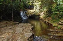 Zip Lining + Tubing +Waterfall 30 minutes away From Palcencia