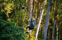 Big Island Kohala Canopy Zipline Adventure