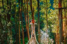 Big Island Kohala Canopy Zipline Adventure
