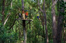 Big Island Kohala Canopy Zipline Adventure