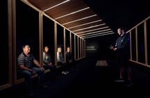 All Blacks Experience: Interactive Guided Cultural Tour 