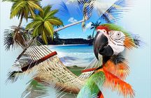 Jimmy Buffett Tour