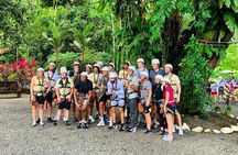 Rain forest Zipline Adventure