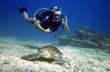 Private Discovery Dive + Photos & Videos