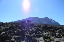 8 Days Kilimanjaro Climbing tour via the Lemosho Route