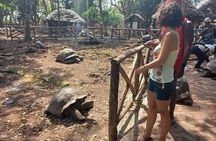 Prison Island and Stone Town Private Tour